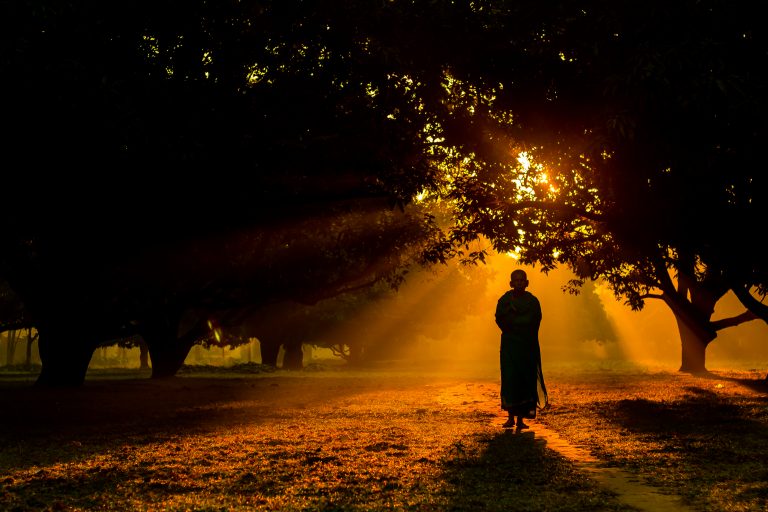 woman standing in a tree farm