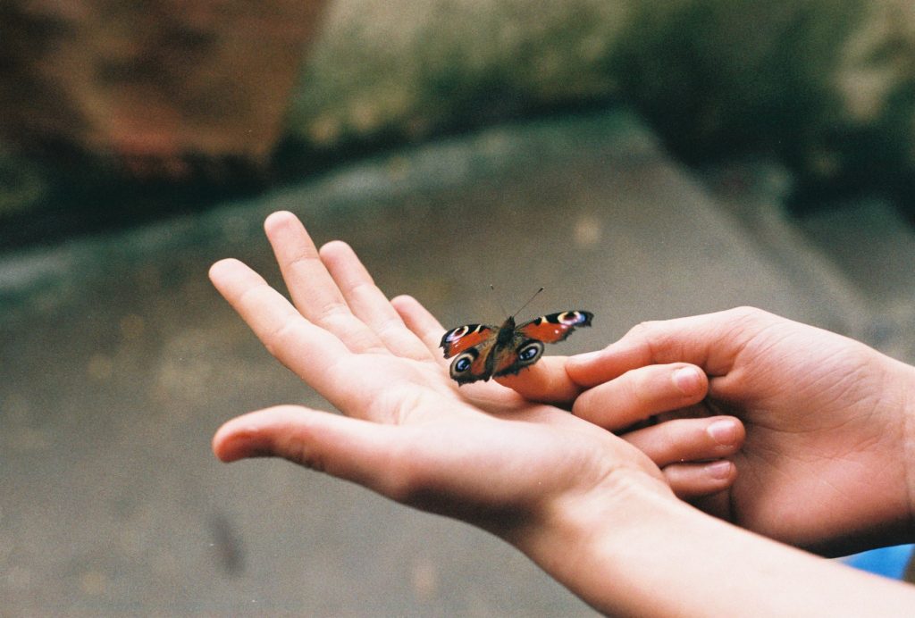 hands with butterfly