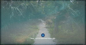 Hypnosis training in Orlando and Tampa Florida