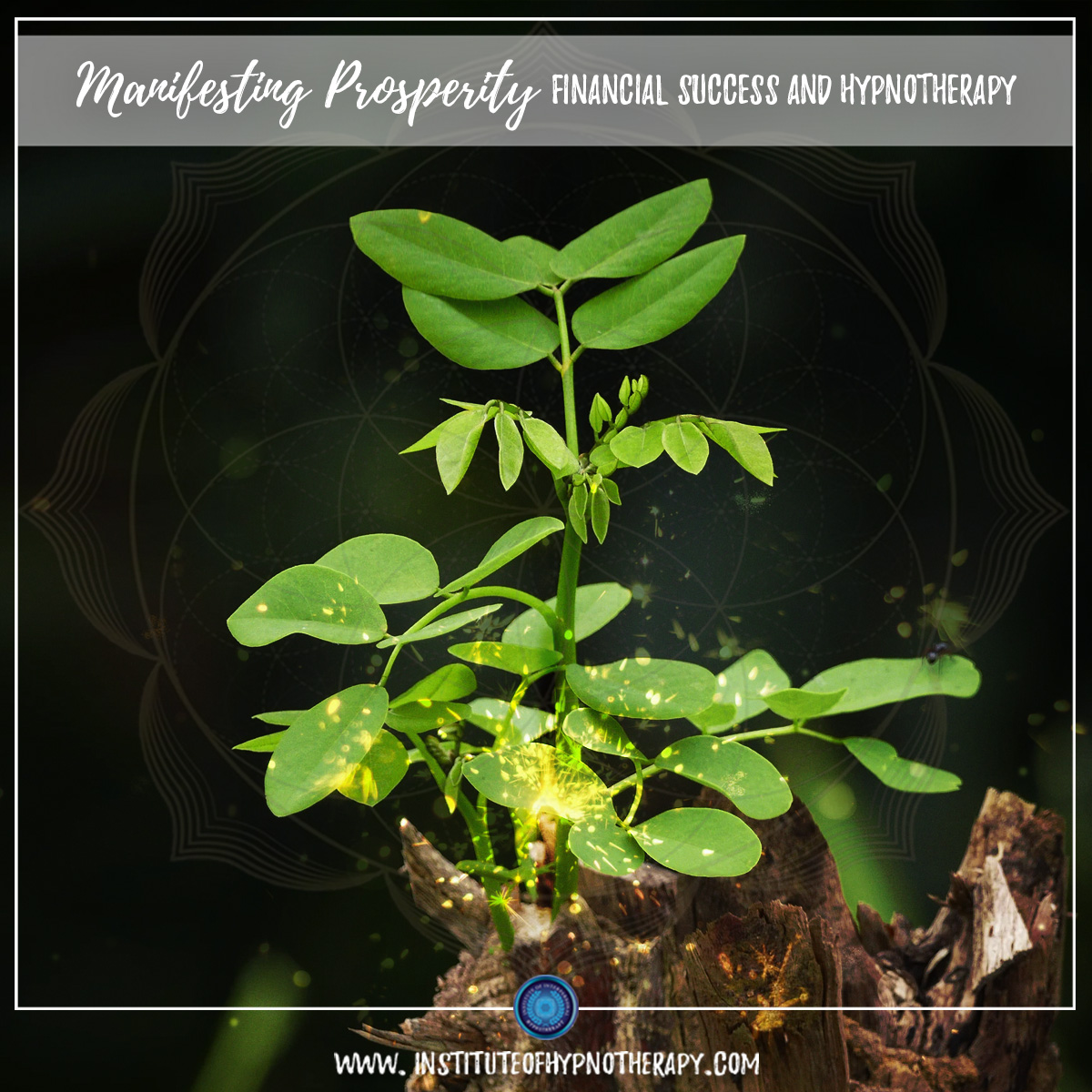 Conscious Community – Manifesting Prosperity