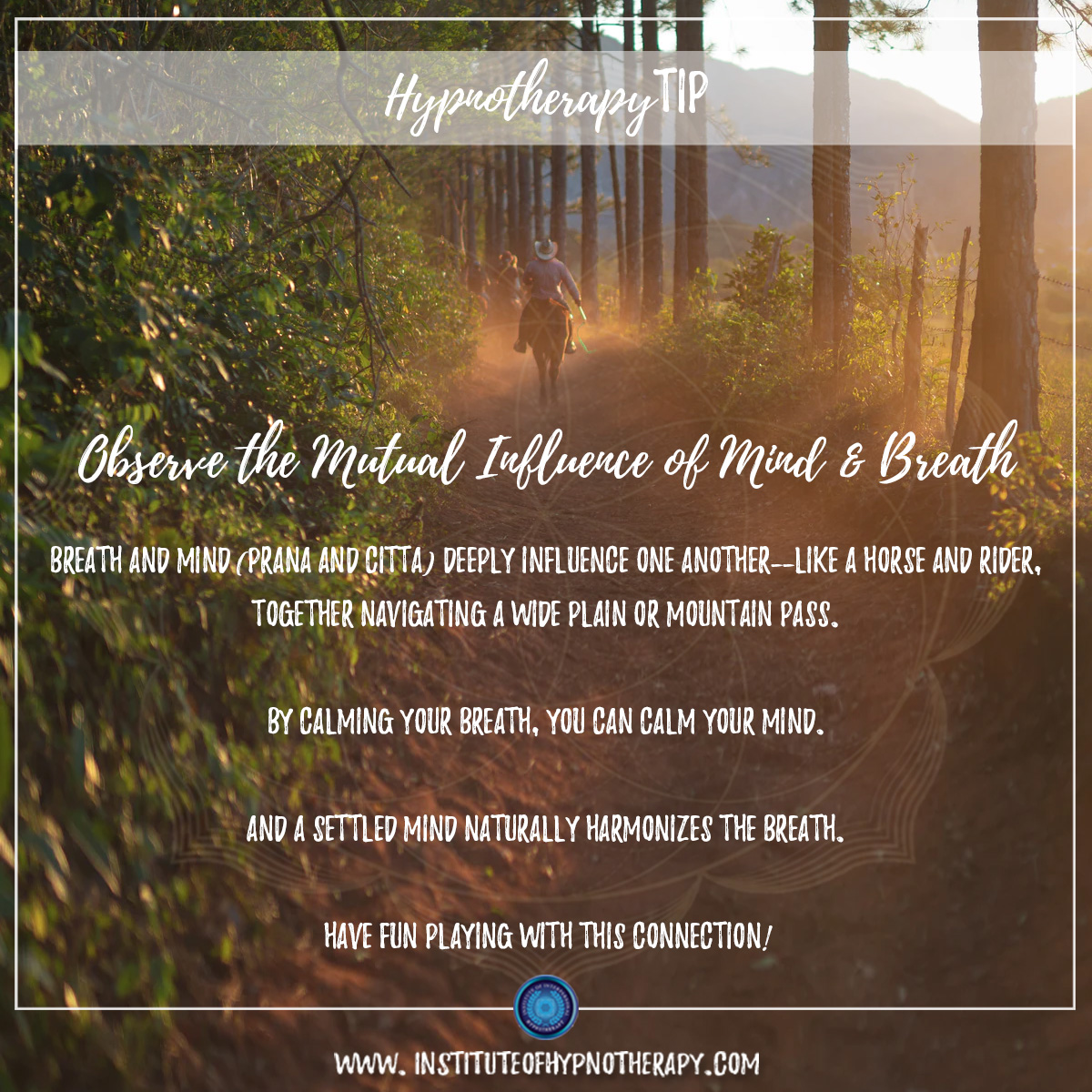 Observe the Mutual Influence of Mind & Breath