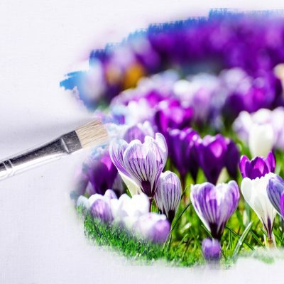 painting of purple flowers